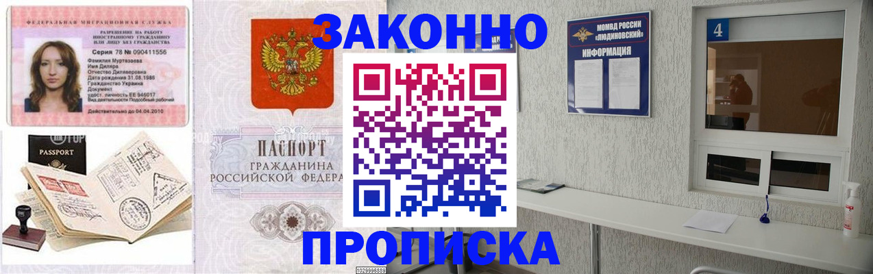 прописка в квартире в Курске